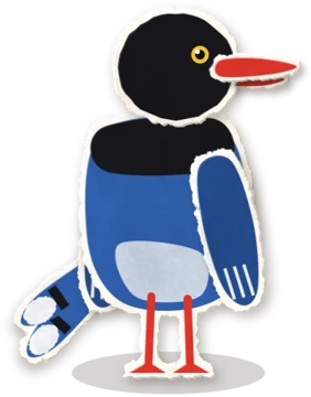 藍鵲藍藍